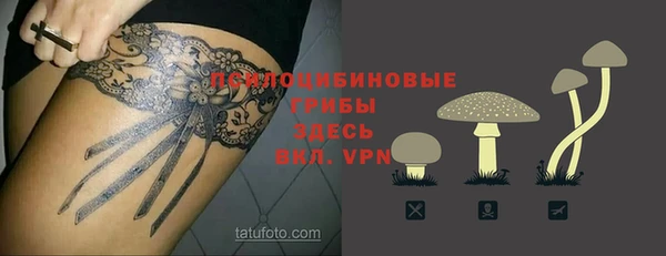 тгк Балахна