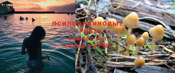 тгк Балахна