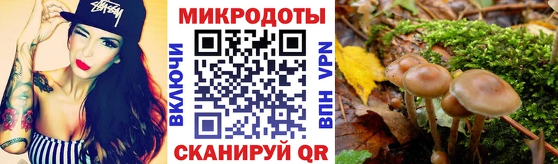 Галлюциногенные грибы MAGIC MUSHROOMS  Печора 